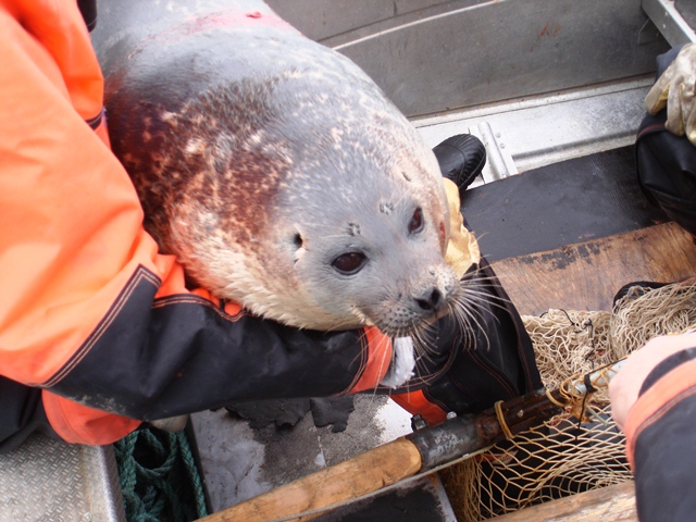 Svalbard Norway Photo 12